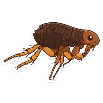 Kleeps: Koerakirp