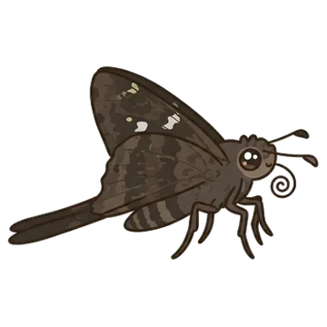 Sticker of Dorantes longtail