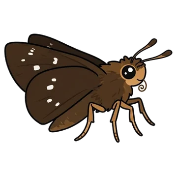 Sticker of Dun skipper