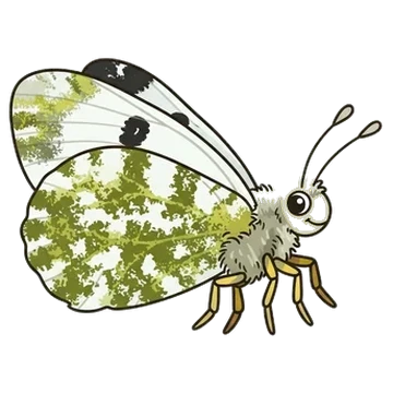 Sticker of Eastern dappled white