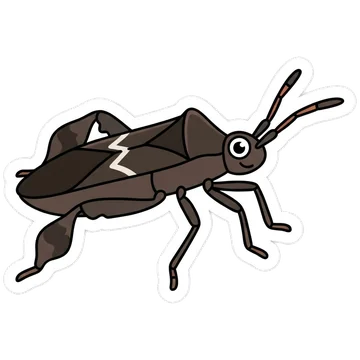 Sticker of Eastern leaf-footed bug
