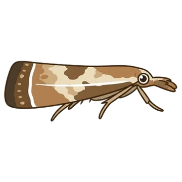 Sticker of Elegant grass-veneer