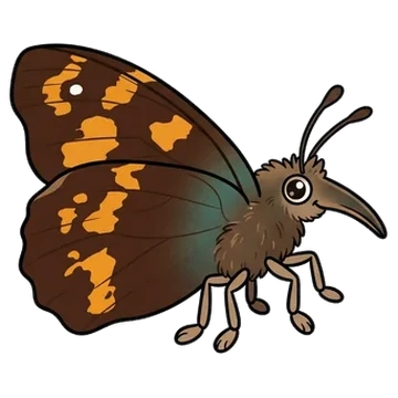 Sticker of European beak