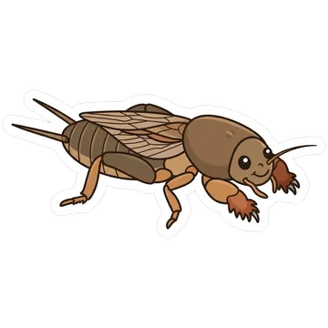 Sticker of European mole cricket