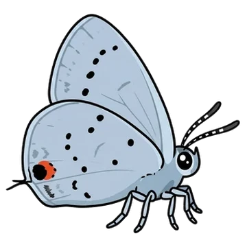 Sticker of Short-tailed blue