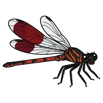 Sticker of Formosan damselfly