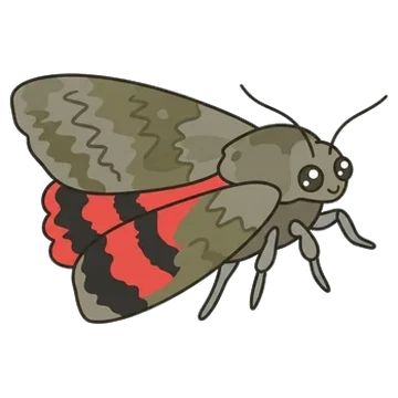 Sticker of French red underwing