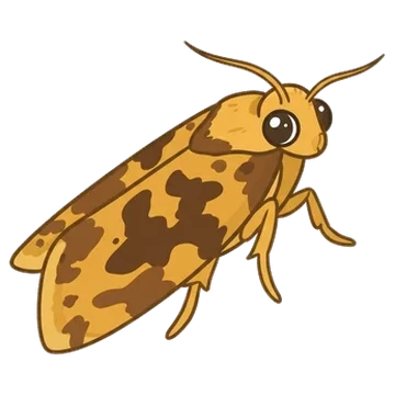 Sticker of Fruit-tree leafroller moth