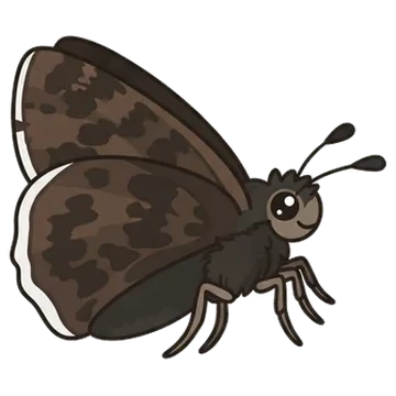 Sticker of Funereal duskywing