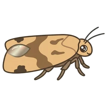 Sticker of Garden tortrix