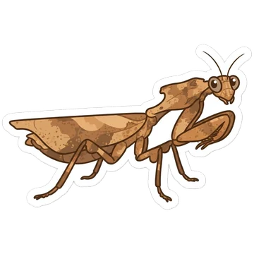 Kleeps: Giant dead leaf mantis