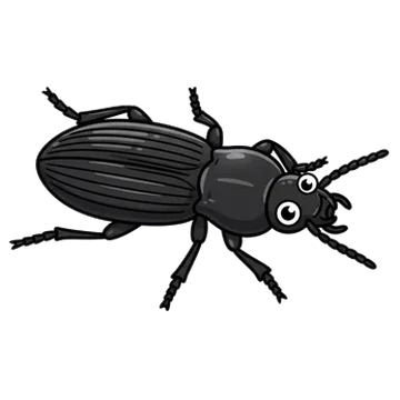 Sticker of Great blackclock