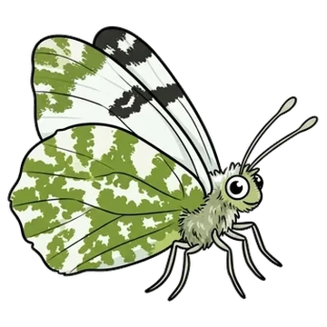 Sticker of Green-striped white
