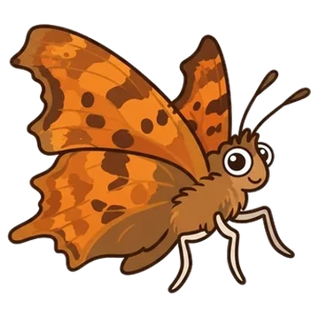 Sticker of Hoary comma