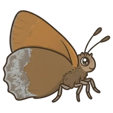 Sticker of Hoary elfin