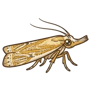 Sticker of Hook-streaked grass-veneer
