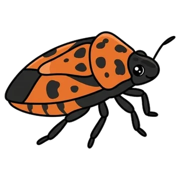 Sticker of Horehound bug