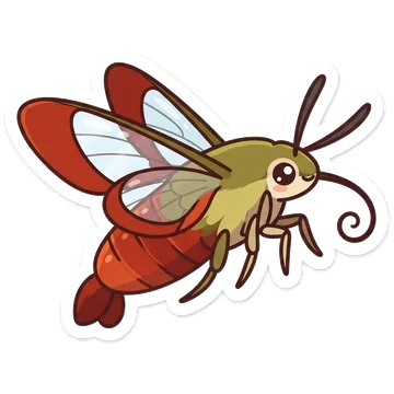 Kleeps: Hummingbird clearwing