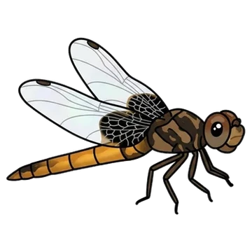 Sticker of Hyacinth glider