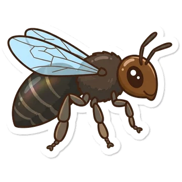 Kleeps: Indian stingless bee