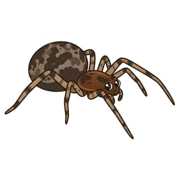 Sticker of Invisible spider
