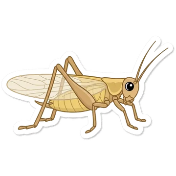Sticker of Italian tree cricket