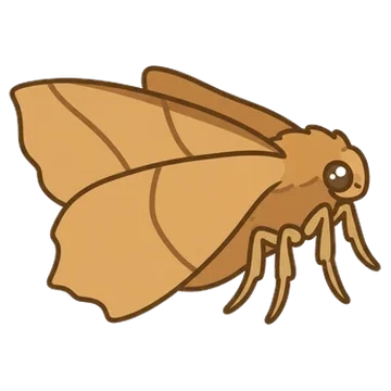 Sticker of Juniper geometer moth
