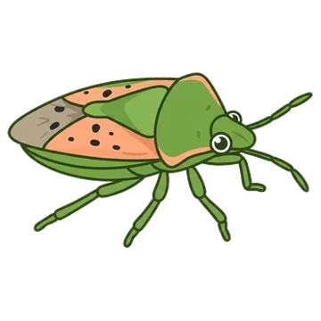 Sticker of Juniper shield bug