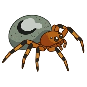 Sticker of Kidney garden spider