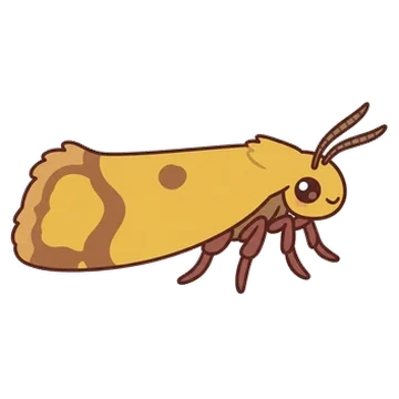 Sticker of Knapweed root moth