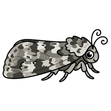 Sticker of Knot grass moth