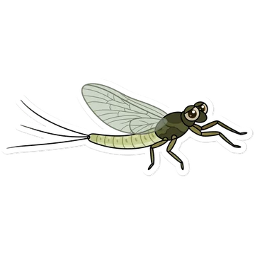 Sticker of Large dark olive