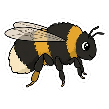 Kleeps: Large garden bumblebee