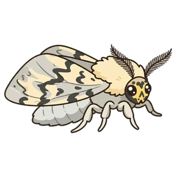 Sticker of Laugher moth