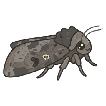 Sticker of Lawn armyworm moth