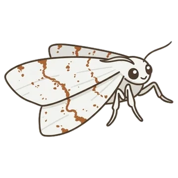 Sticker of Lesser maple spanworm moth