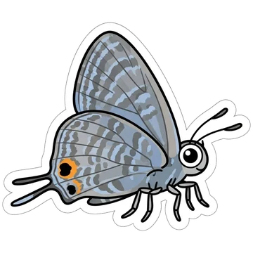 Sticker of Long-tailed blue