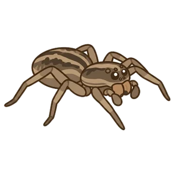 Sticker of McCook's split wolf spider