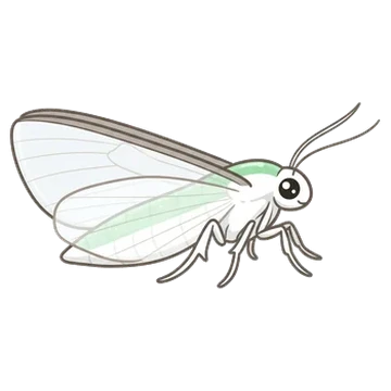 Sticker of Melonworm moth