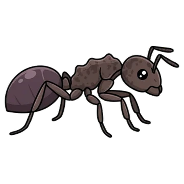 Sticker of Mottled odorous ant