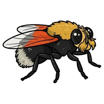 Sticker of Moustached fly