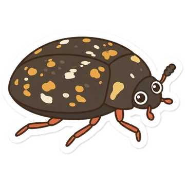 Sticker of Museum beetle