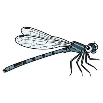 Sticker of Northern spreadwing