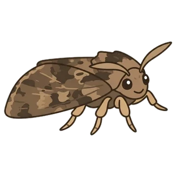 Sticker of Nutmeg moth
