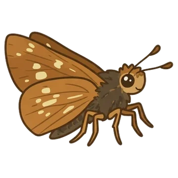 Sticker of Ocola skipper