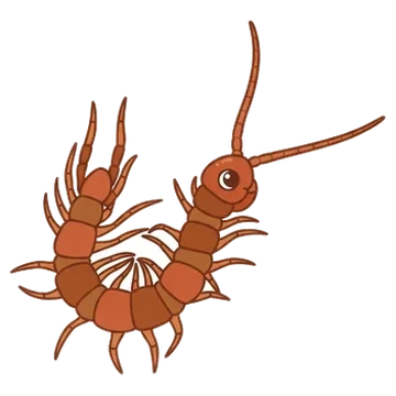 Sticker of One-eyed centipede
