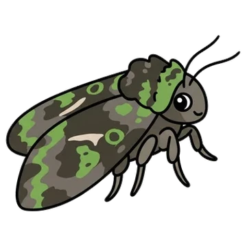 Sticker of Orache moth
