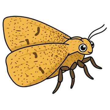 Sticker of Orange moth