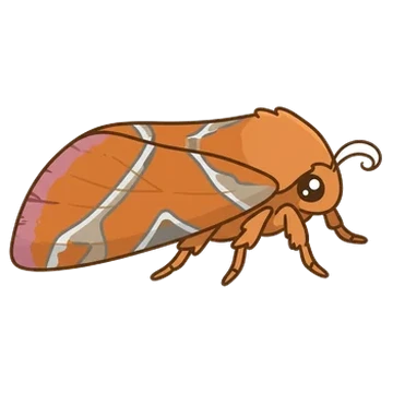 Sticker of Orange swift