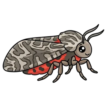Sticker of Painted tiger moth